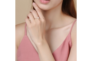 SCHMUCKBOX argent, Ce à quoi vous pouvez vous attendre